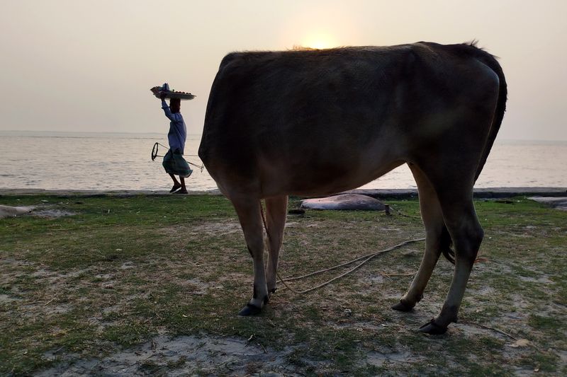 © Md Jumen Khan - Image from the Life with death. photography project