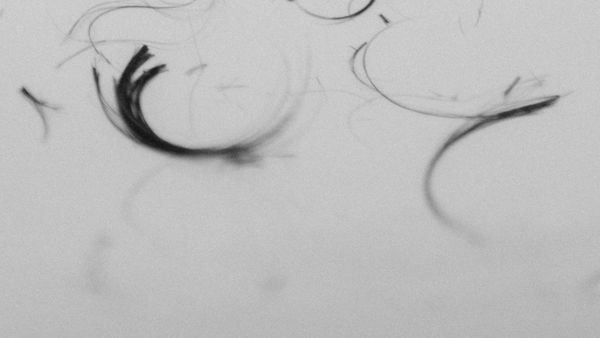 © flowersnudity - Image from the We Are Just Salt and Soil photography project