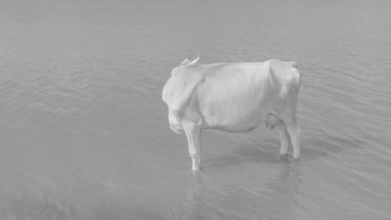 © flowersnudity - Image from the We Are Just Salt and Soil photography project