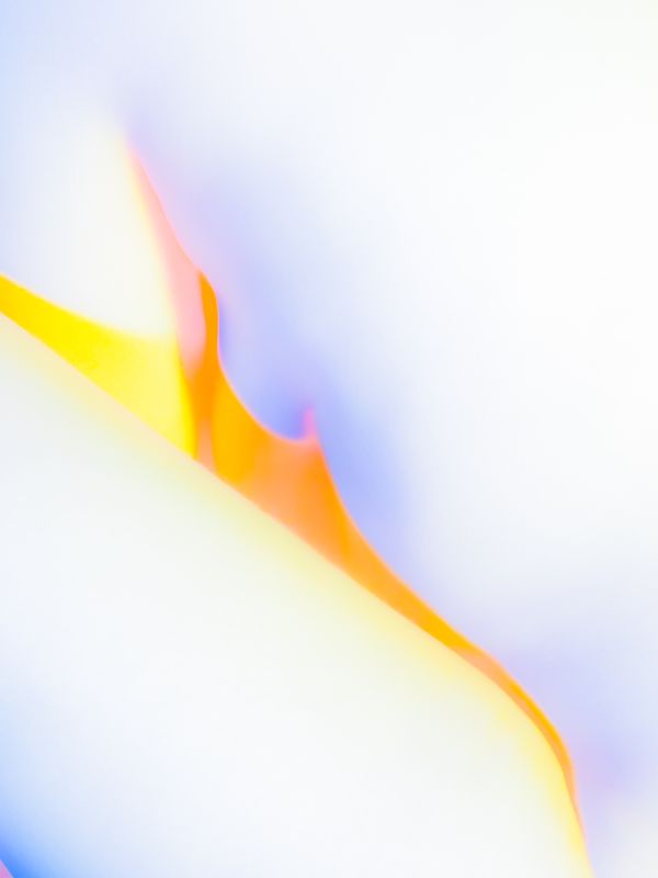 © flowersnudity - Image from the Parvardá photography project