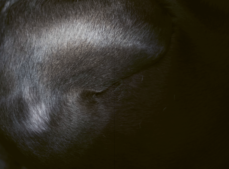 Image from a project on PhMuseum