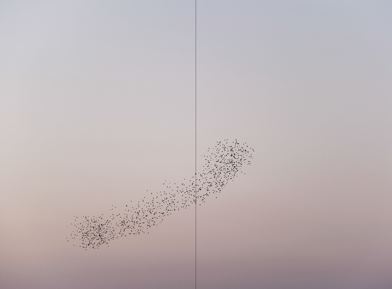 Image from a project on PhMuseum
