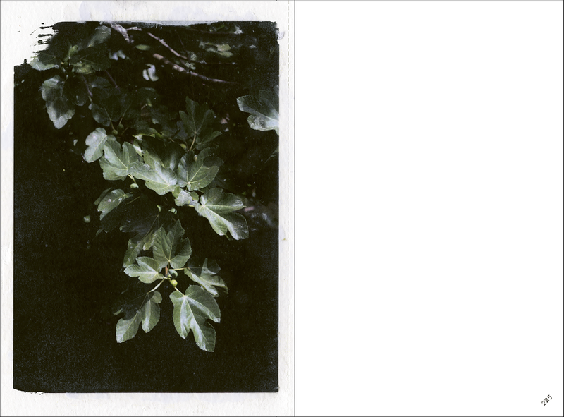Image from a project on PhMuseum