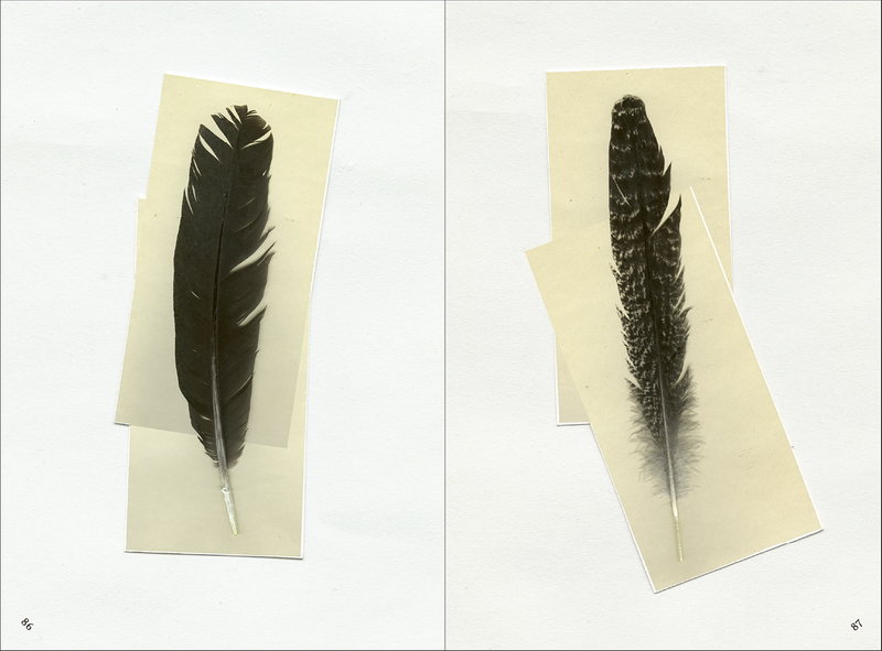 Image from a project on PhMuseum