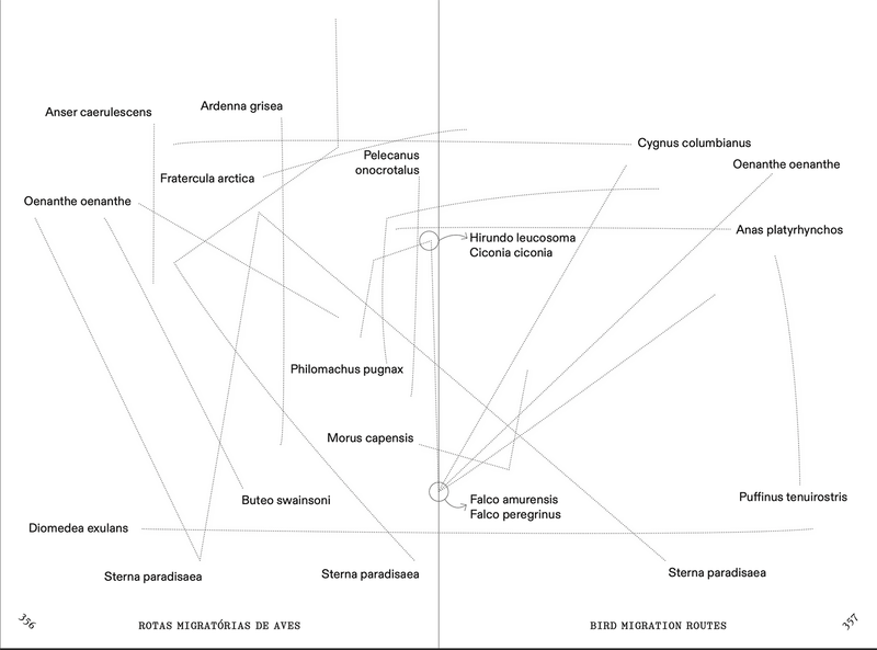 Image from a project on PhMuseum
