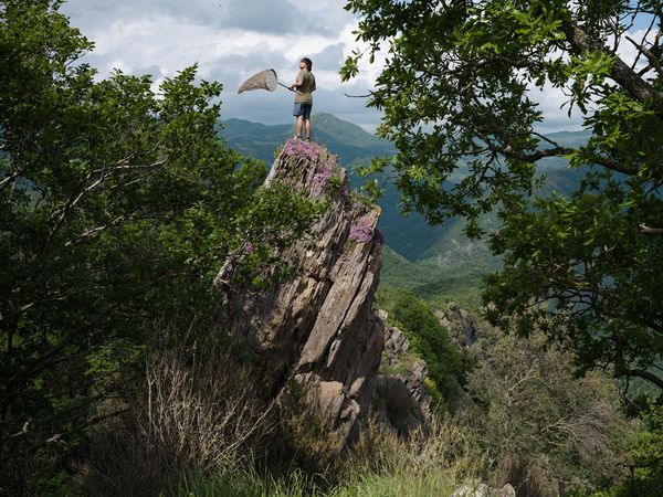 Lucas Foglia, from the series Constant Bloom
