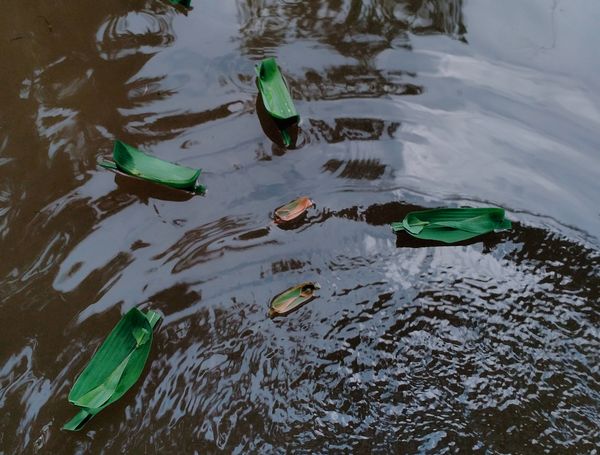 © Ferdousi Jaman - Leaf boat / Bangladesh / 2025