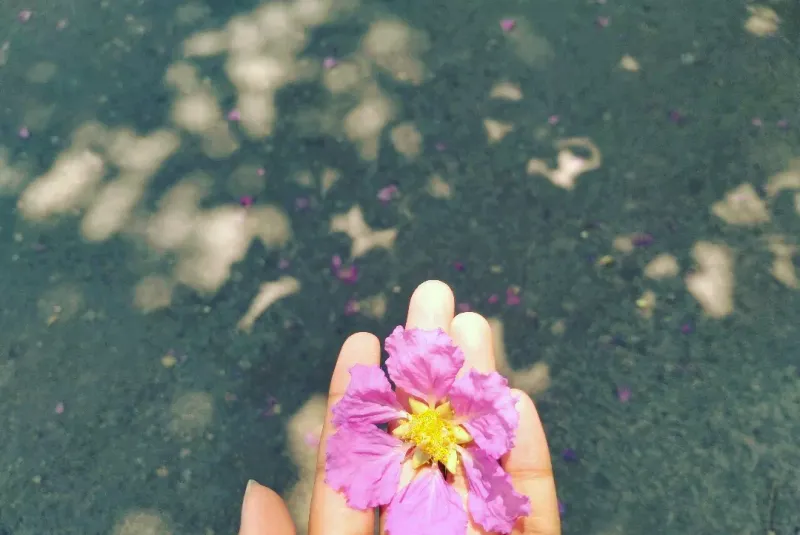 © Ferdousi Jaman - Flower on the road/ Bangladesh / 2024