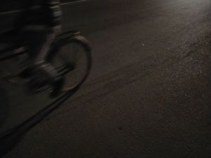 LIVES ALONG THE WAY
