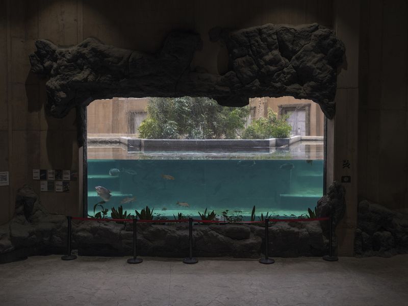 © Julia Klewaniec - Before the elephant show, 2025, Poland How close do we want to be to nature?