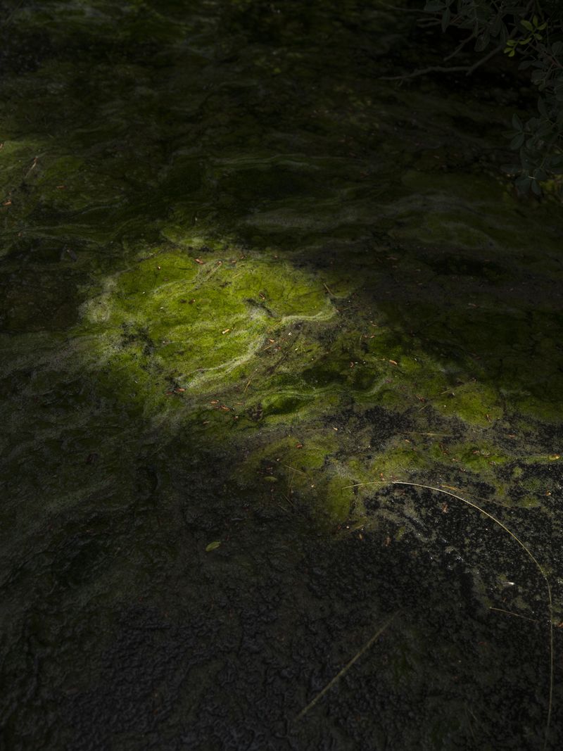 © Julia Klewaniec - Image from the I'm so Blue photography project