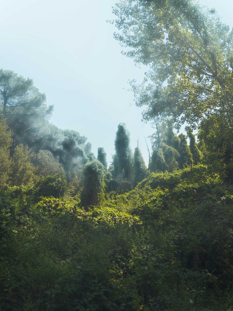 © Julia Klewaniec - Image from the I'm so Blue photography project