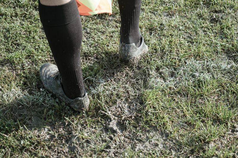 © Stefan Panaitescu - Image from the Halftime Romania photography project