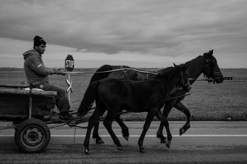 © Stefan Panaitescu - Image from the Railway line 801 photography project