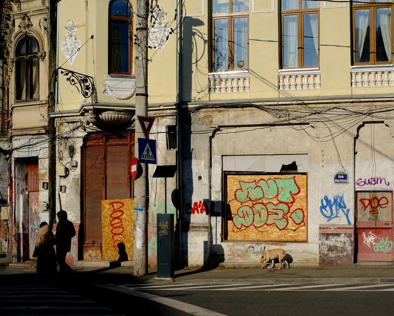 © Stefan Panaitescu - Image from the A Battle Lost photography project