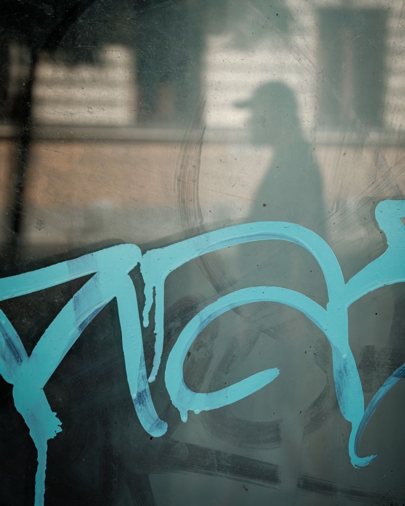 © Stefan Panaitescu - Image from the A Battle Lost photography project