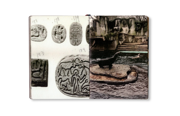 Image from a project on PhMuseum
