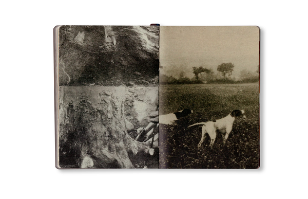 Image from a project on PhMuseum