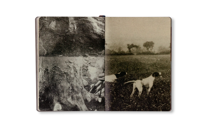 Image from a project on PhMuseum