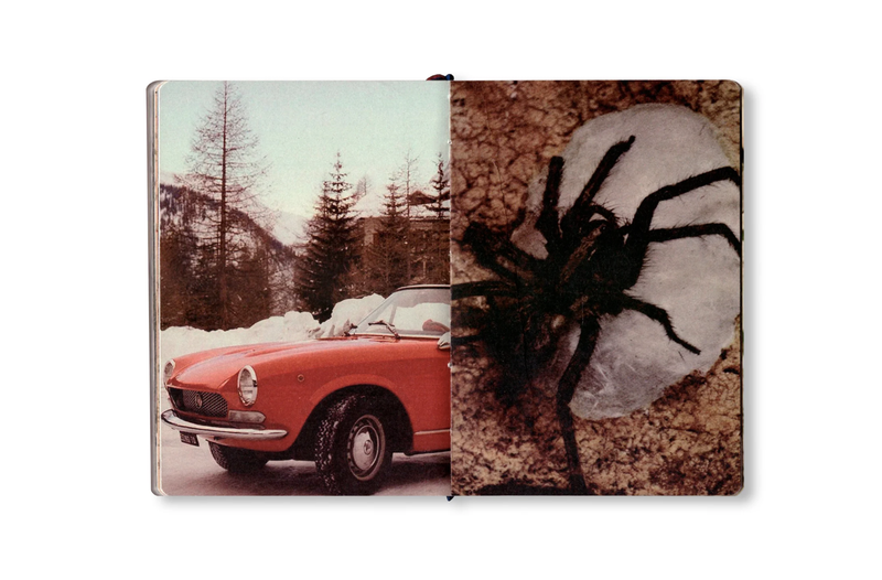 Image from a project on PhMuseum