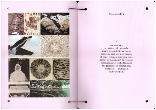 Image from a project on PhMuseum