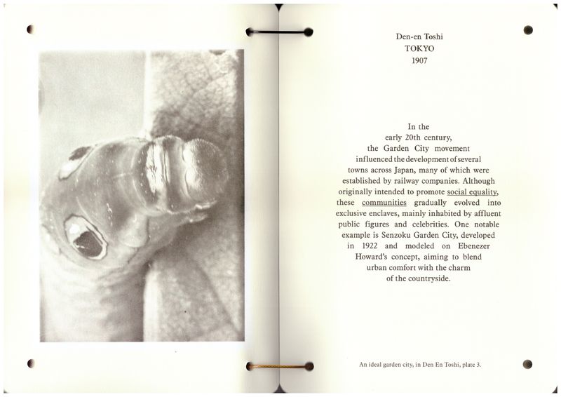 Image from a project on PhMuseum