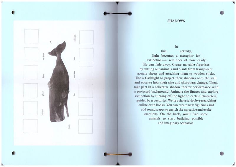 Image from a project on PhMuseum
