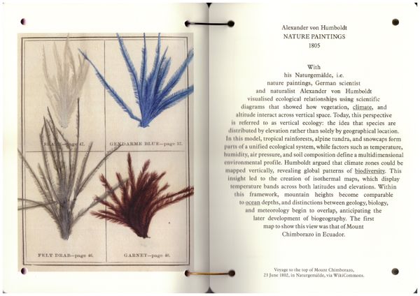 Image from a project on PhMuseum