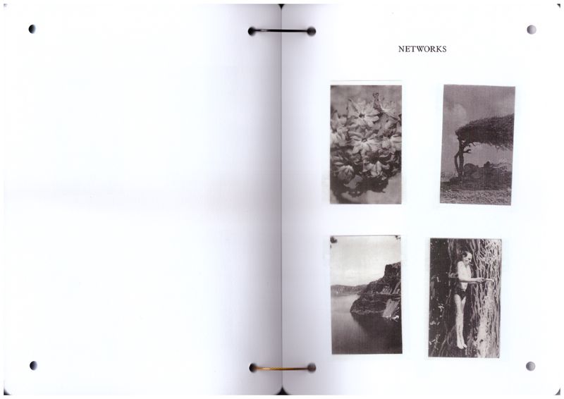 Image from a project on PhMuseum