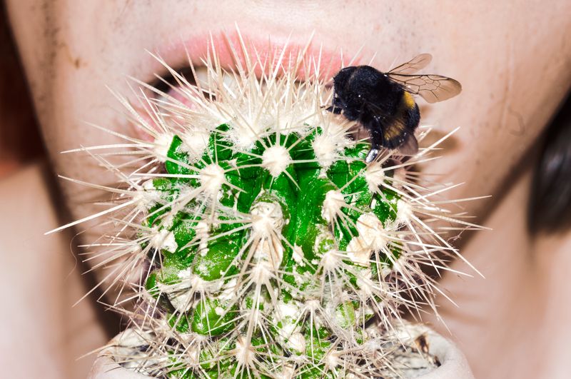 © Yulia Kozynka - Image from the Self-Medication Can Put Your Life in Danger photography project