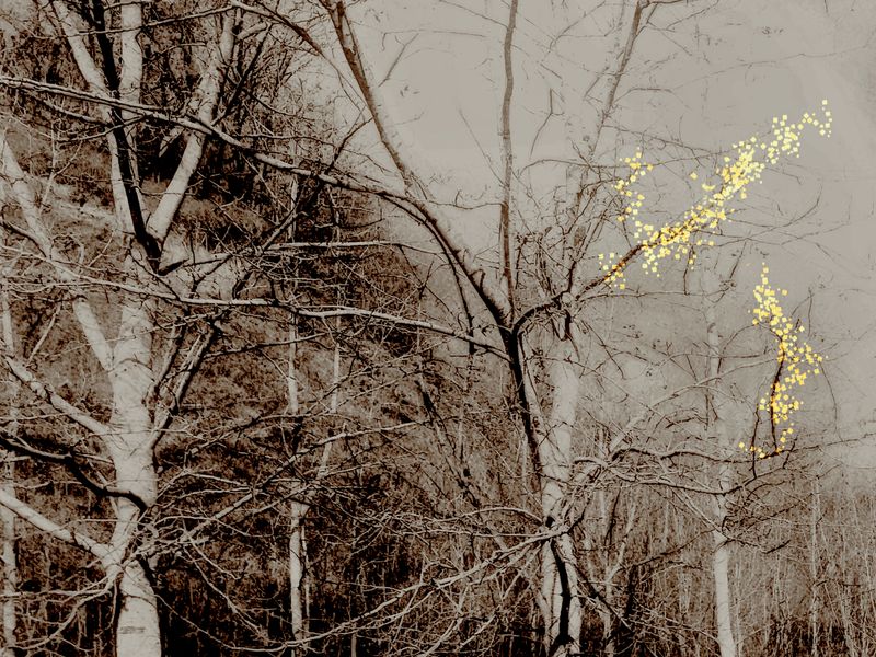 © Elena Akulova - Image from the TIME OF HOPES. BURDEN OF HOPES photography project