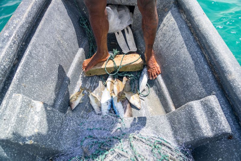 © Gaston Zilberman - Theo’s morning catch, laid out on the floor of the boat. They go out every day. Not every day pays.