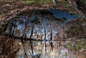 Remains to Be Seen - An Almanac of an Australian Landscape