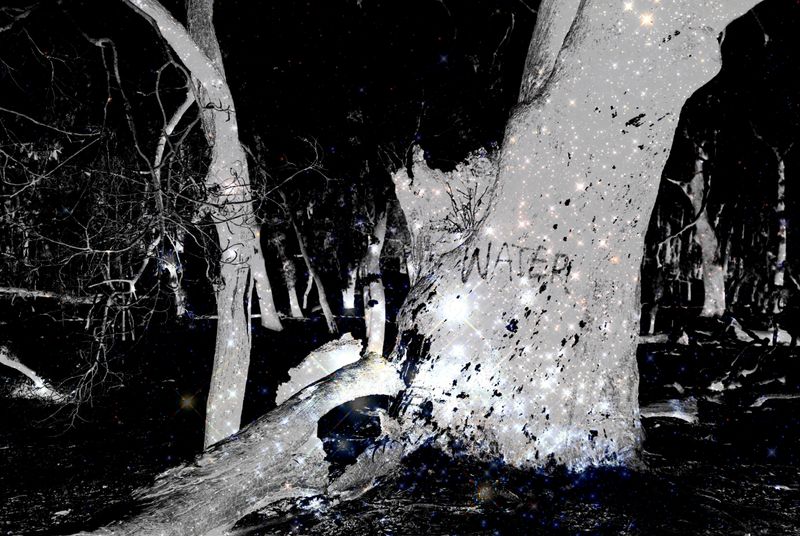 © Marylou Verberne - Remains to be Seen #5 101.8 x 116cm