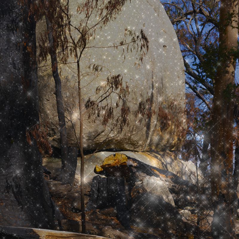 © Marylou Verberne - Remains to be Seen #2 101.8x101.8cm