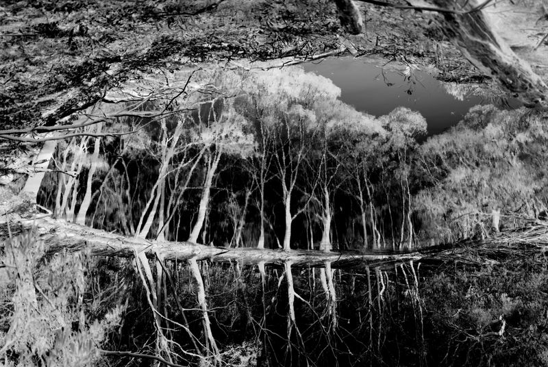 © Marylou Verberne - Remains to be Seen #4 101.8 x 116cm
