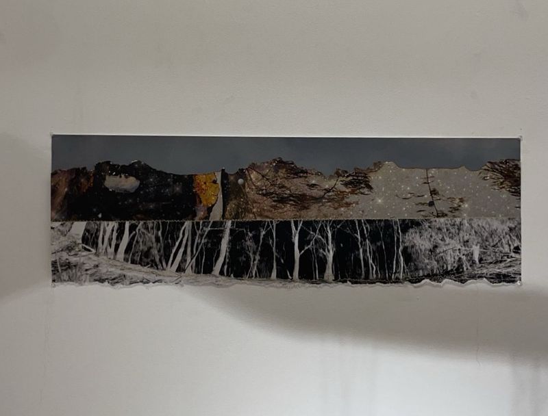 © Marylou Verberne - Remains to be Seen #7 Installation View