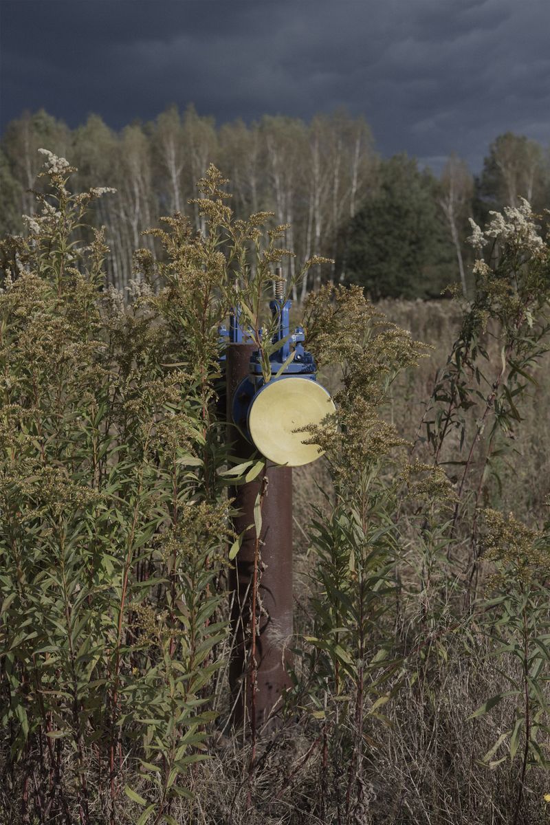 © Angelika Gad - A new sulfur borehole emerging among goldenrod, Rudniki.