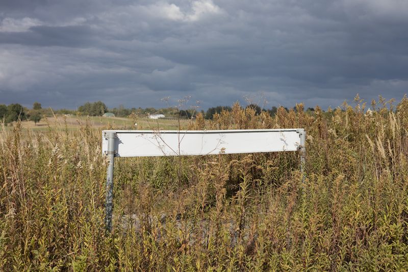 © Angelika Gad - A remnant of the former agricultural landscape among goldenrod, Połaniec Investment Zone.