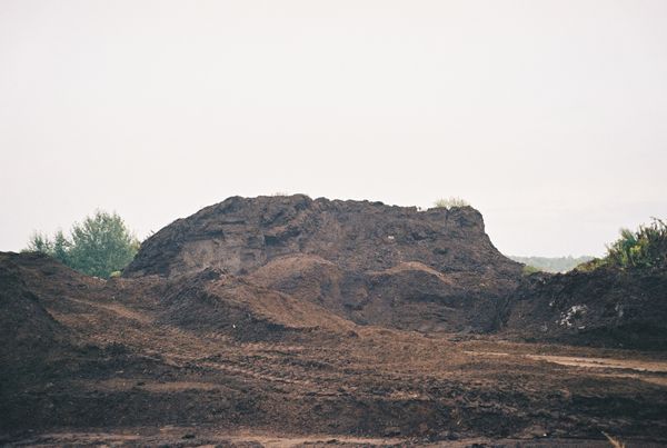 © Angelika Gad - Image from the Goldenrod photography project