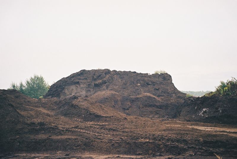 © Angelika Gad - Image from the Goldenrod photography project