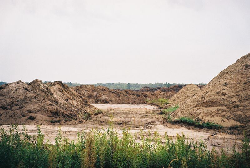 © Angelika Gad - Image from the Goldenrod photography project