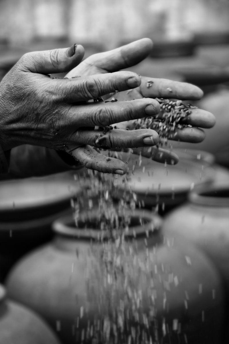 © adriana oliveira - Image from the eyes that didn't know... photography project