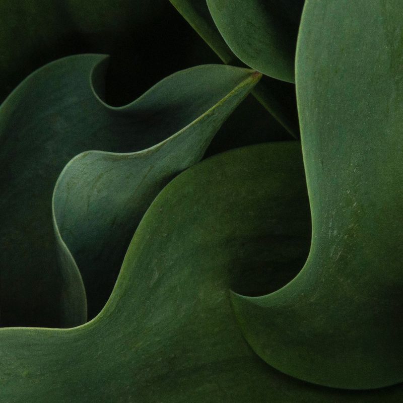Image from a project on PhMuseum