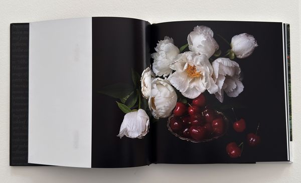 Image from a project on PhMuseum
