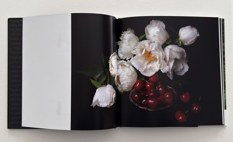 Image from a project on PhMuseum