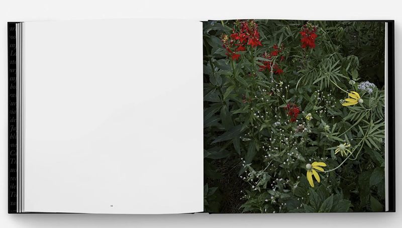 Image from a project on PhMuseum
