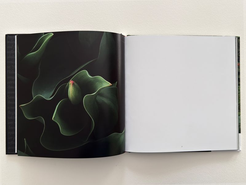 Image from a project on PhMuseum