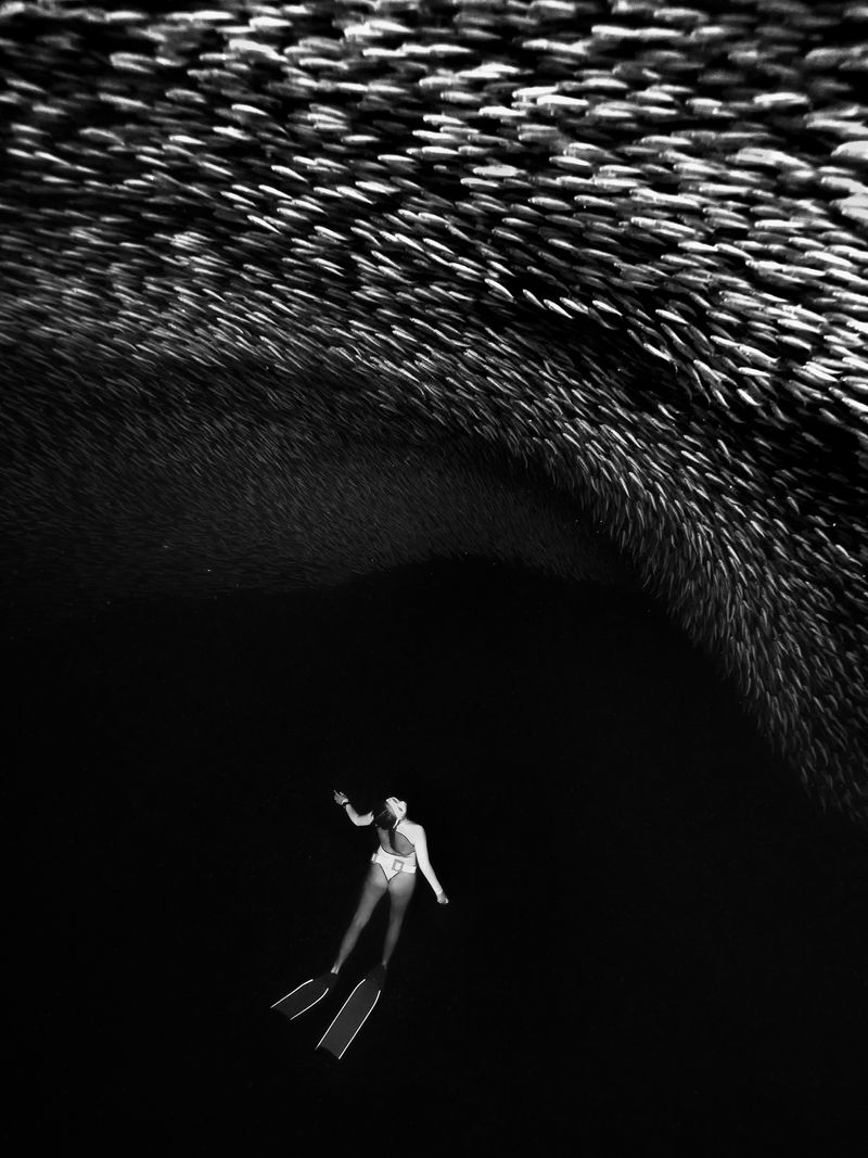 © Maddison Woollard - Image from the Breathhold photography project