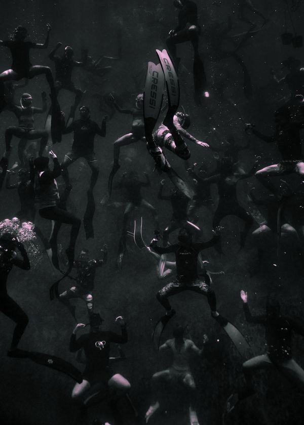 © Maddison Woollard - What On Earth | 80-plus freedivers performing the viral 'crab dance,' except for one lone diver who missed the memo